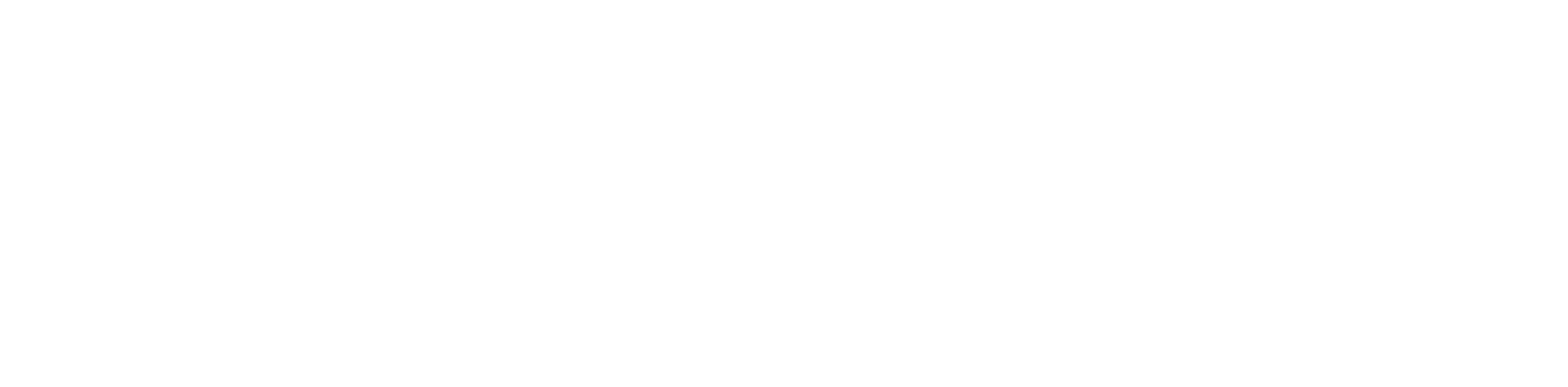 Bearshop – zur Startseite
